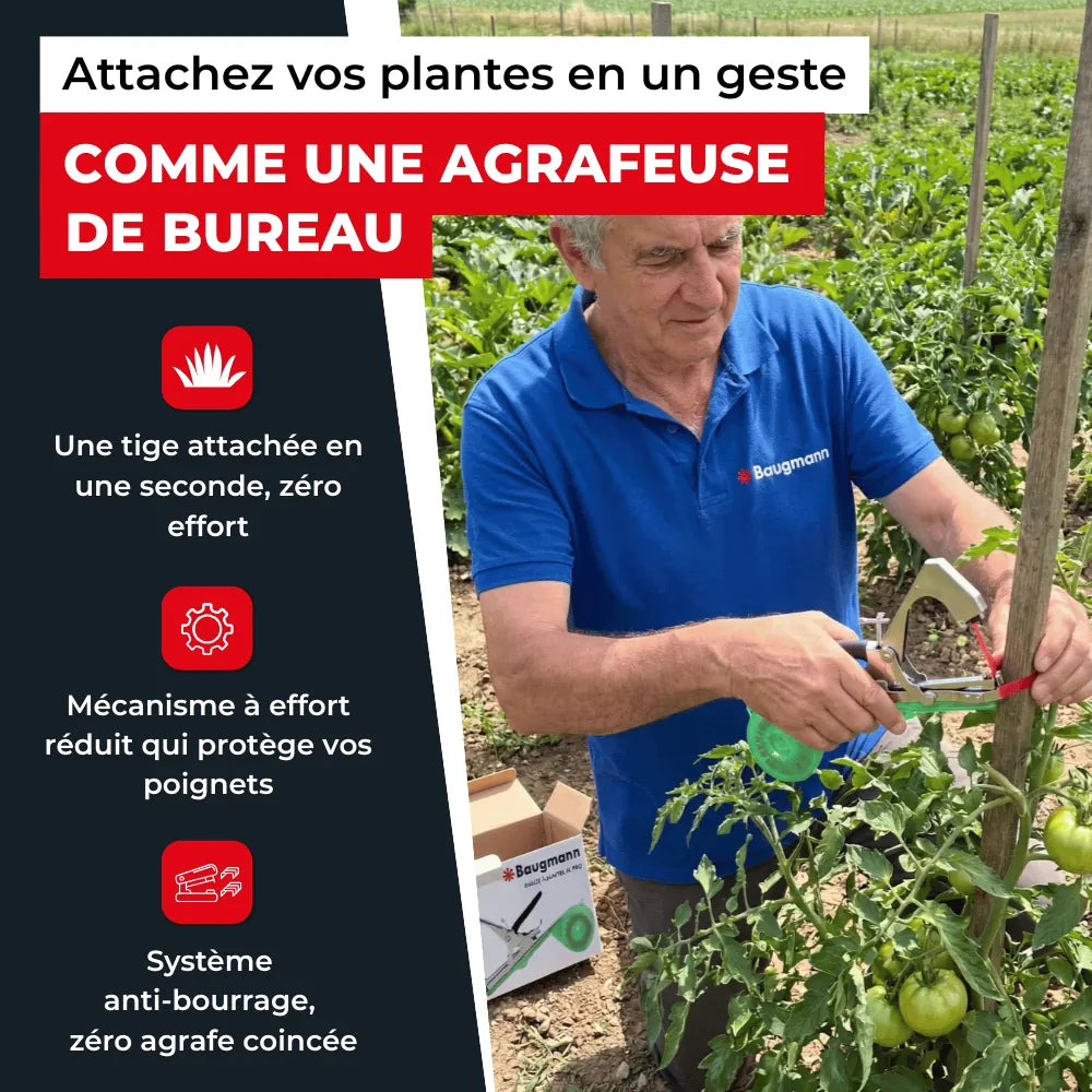 Lieuse à plantes V4 pro