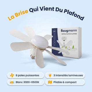 Ventilateur de plafond