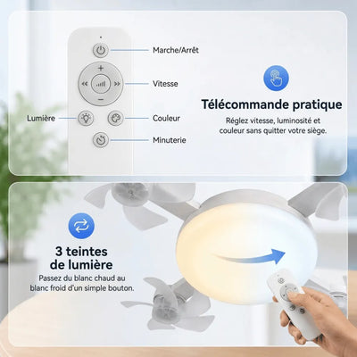 Ventilateur de plafond S5