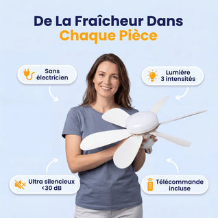 Ventilateur de plafond