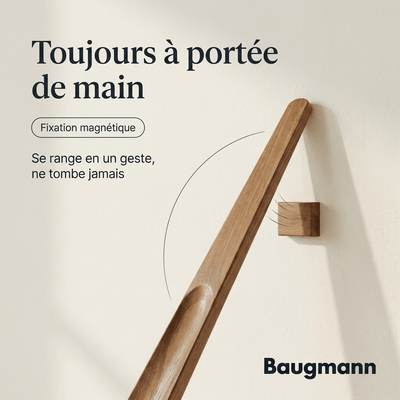 Chausse-pied magnétique