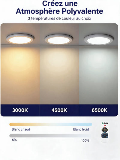 Trois températures de couleur au choix : blanc chaud 3000K, blanc naturel 4500K, blanc froid 6500K, variables de 5 à 100 %